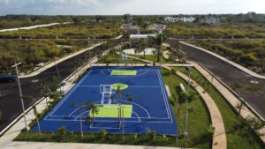 Camelia-Etapa2-25-10