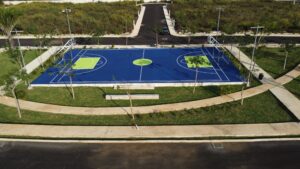 Camelia-Etapa2-25-11