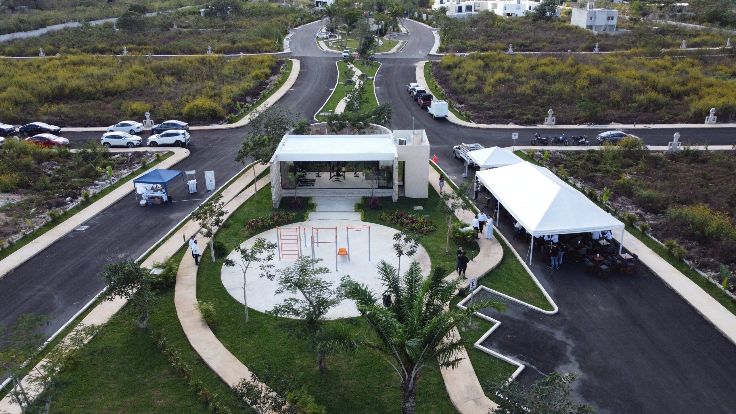 Camelia-Etapa2-25-13