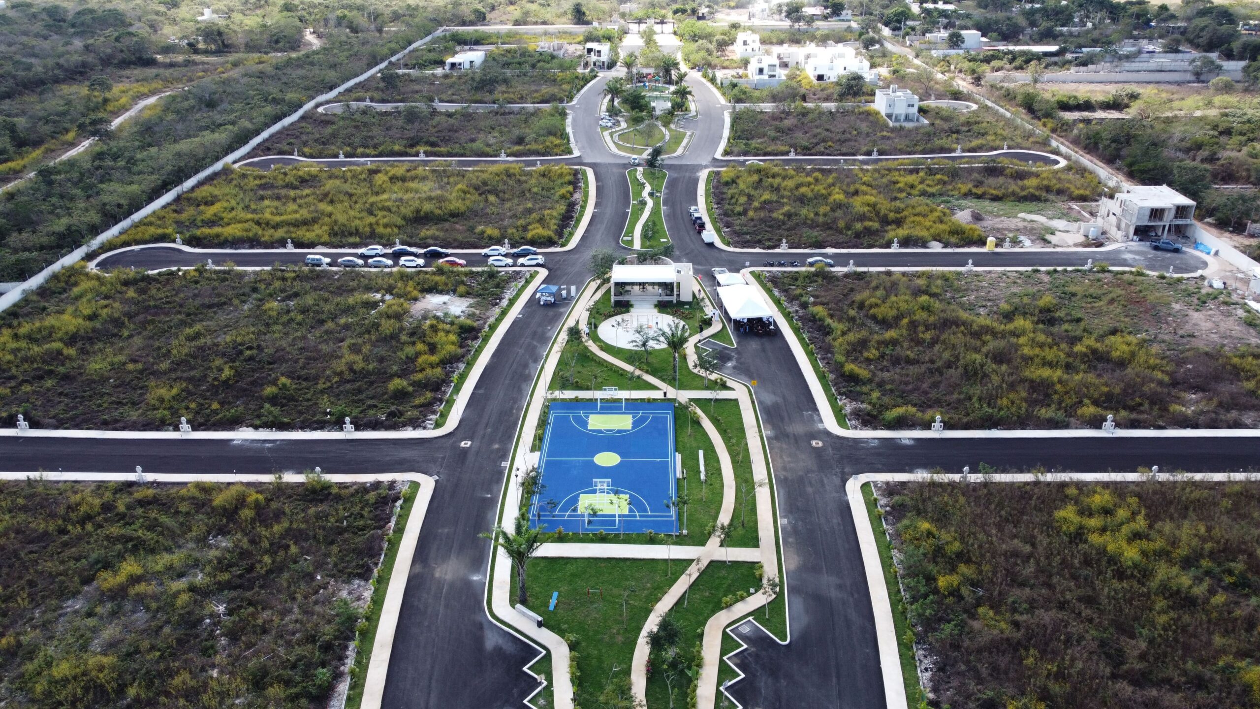 Camelia-Etapa2-25-14